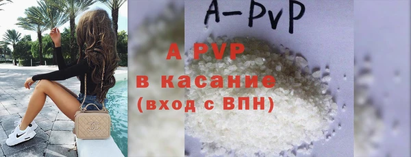 хмурый Гатчина