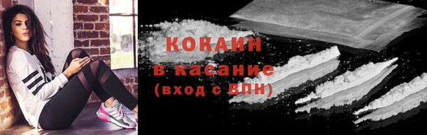 шишки Нягань