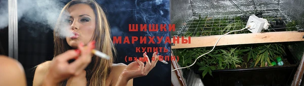 шишки Нягань