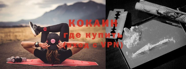 шишки Нягань